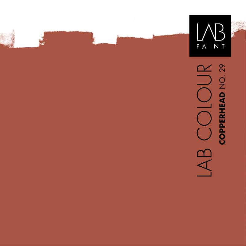 LAB Wallpaint | COPPERHEAD NO. 29