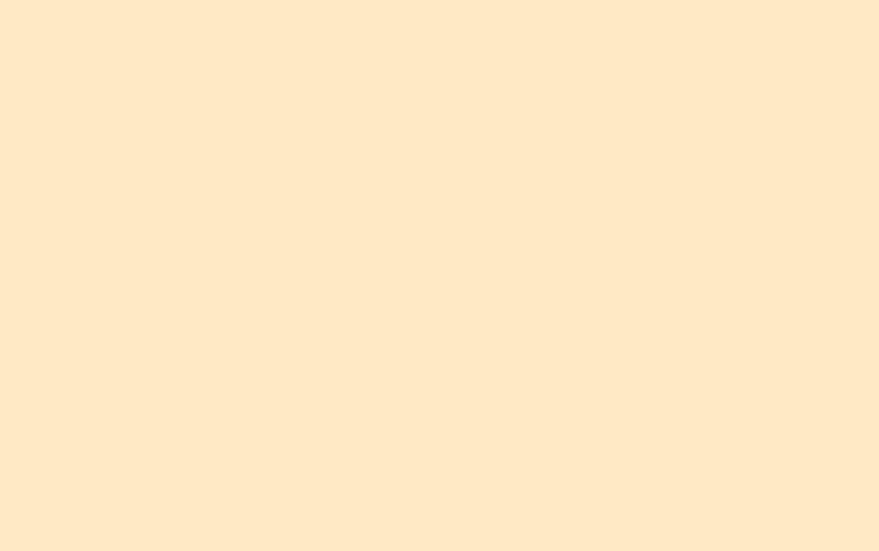 Intelligent Masonry Paint | daylight