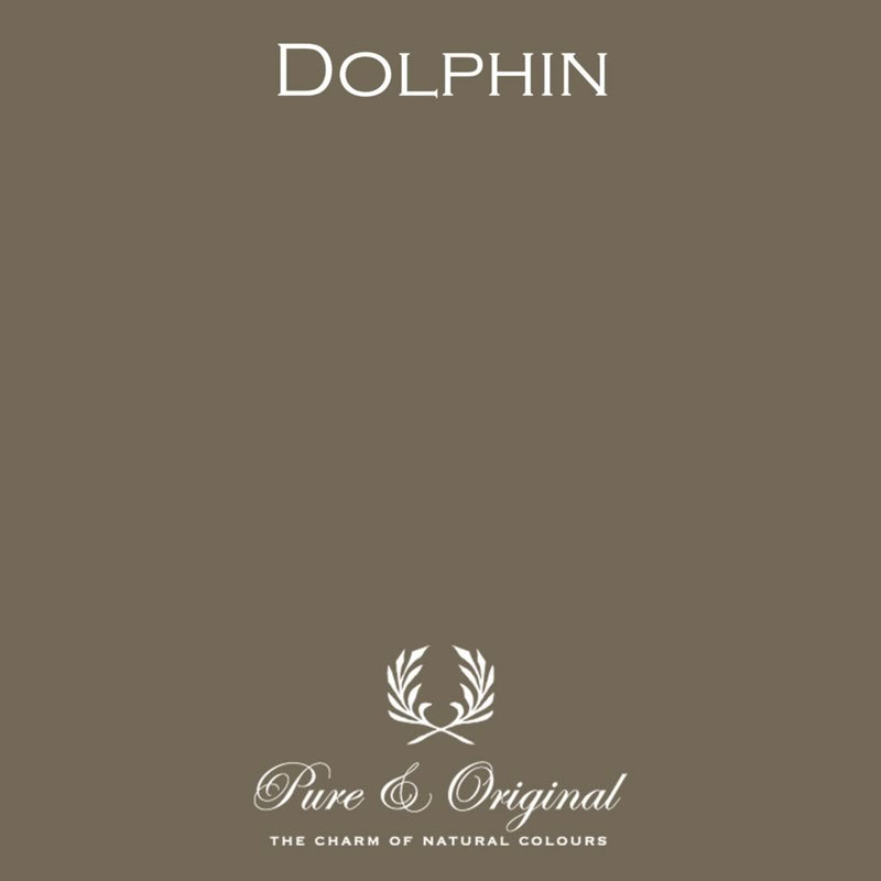 Calx Kalei | Dolphin