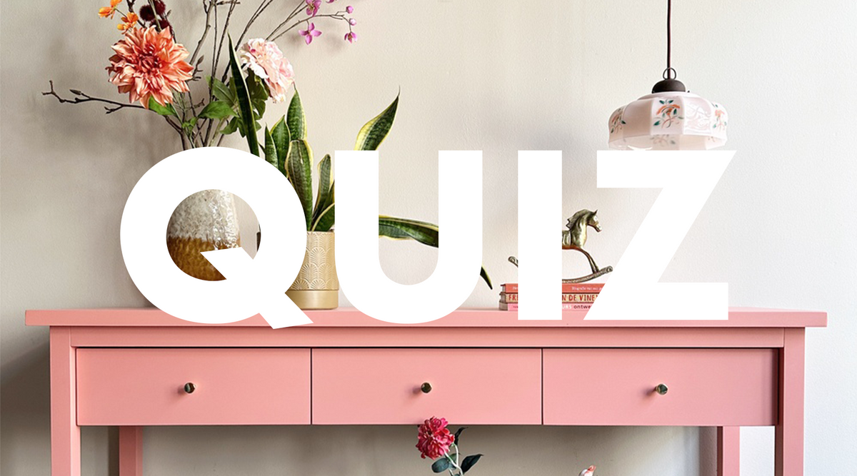 @pand.96 LAB Binnenlak Electric Pink no. 604 LAB Wallpaint Fluffy Cheetah no. 255 QUIZ