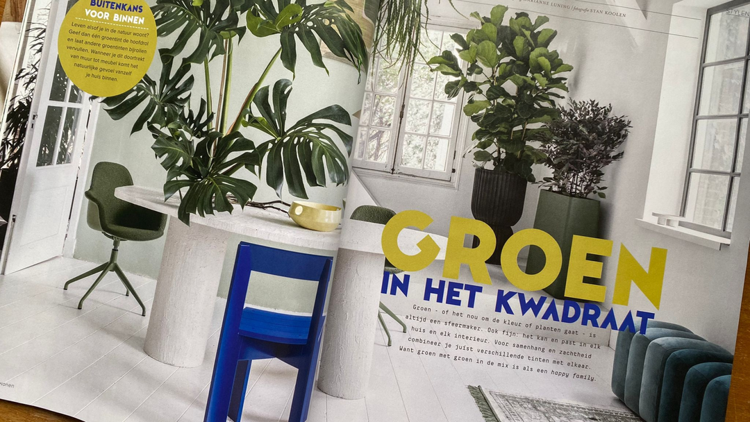 GESPOT IN VTWONEN NO. 03 2023: LAB PAINT EN PURE & ORIGINAL IN GROENTINTEN