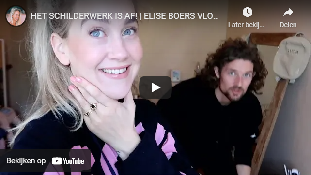 HET SCHILDERWERK IS AF! | ELISE BOERS VLOG #80
