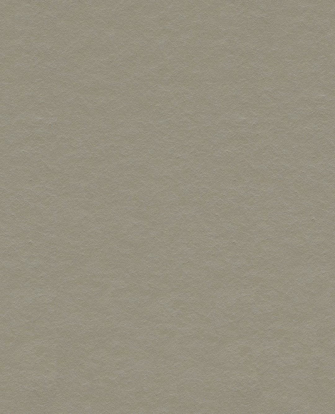 EIJFFINGER Reflect 378051 - Afbeelding 1 - Naturel, Naturel, Landelijk, Basic, Klassiek, Effen, Uni