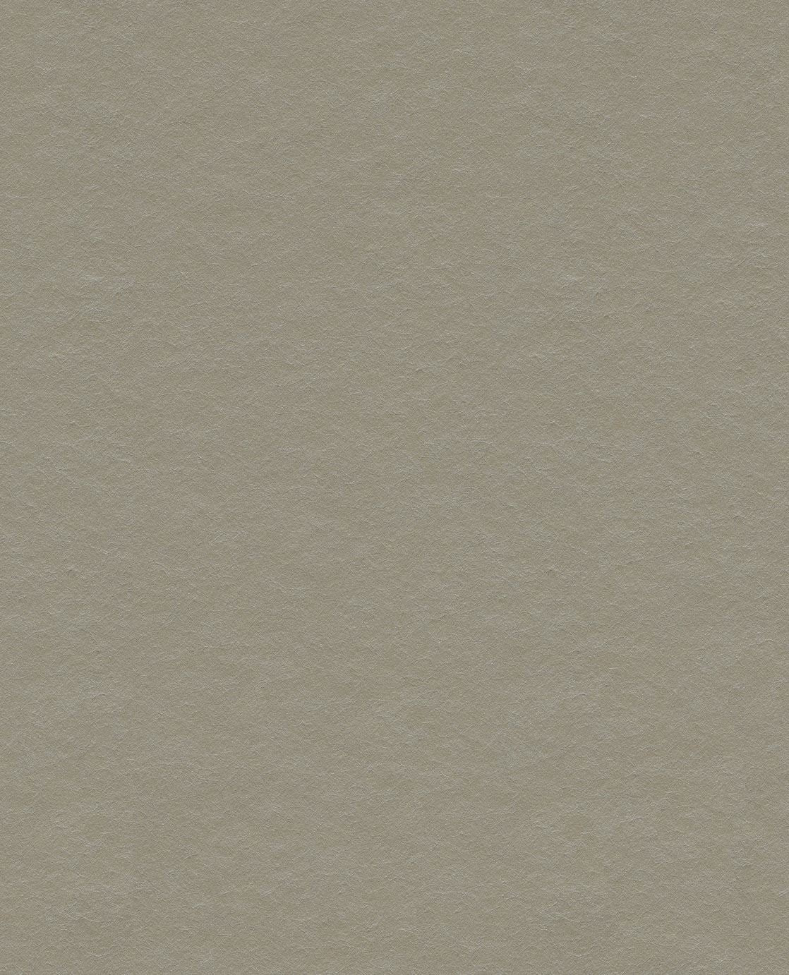 EIJFFINGER Reflect 378051 - Afbeelding 1 - Naturel, Naturel, Landelijk, Basic, Klassiek, Effen, Uni