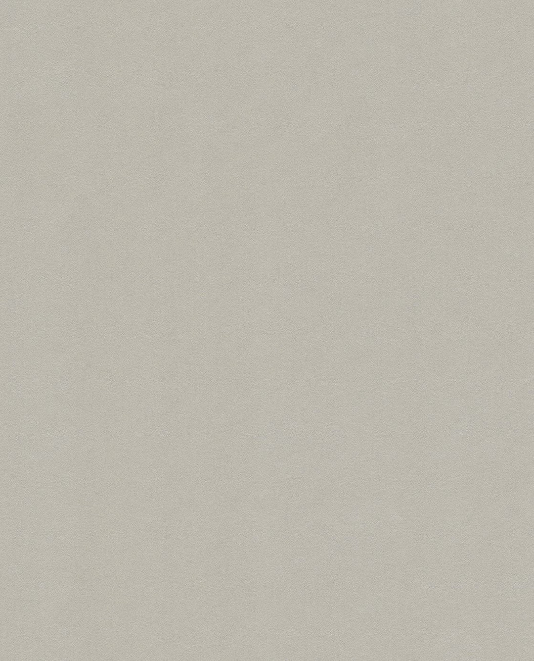 EIJFFINGER Reflect 378052 - Afbeelding 1 - Naturel, Landelijk, Basic, Klassiek, Effen, Uni