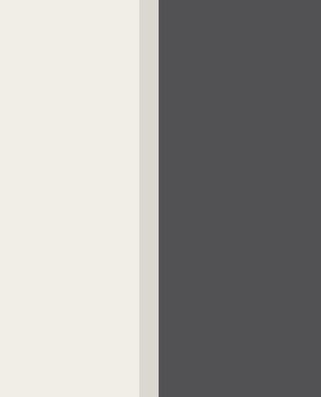 EIJFFINGER Stripes+ 377166 - Afbeelding 1 - Zwart / Grijs, Basic, Stoer, Industrieel, Strepen