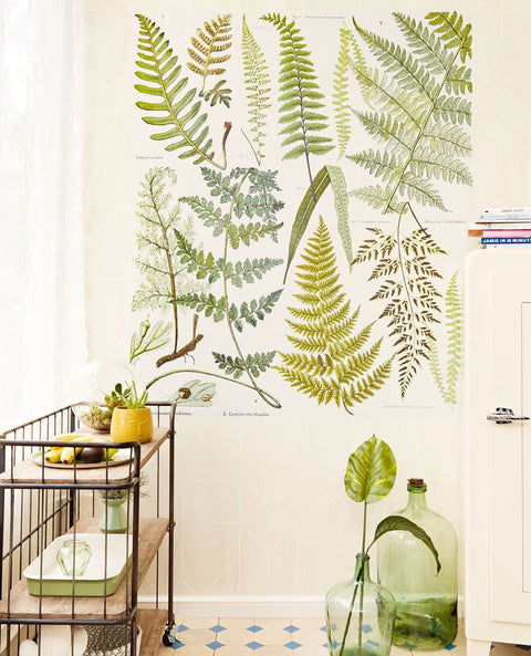 EIJFFINGER Geonature 366102 - Afbeelding 2 - Naturel, Groen, Retro, Vintage, Grafisch, Bladeren
