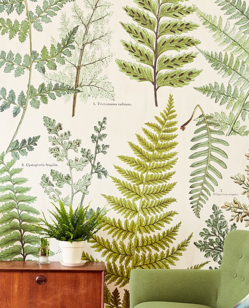 EIJFFINGER Geonature 366104 - Afbeelding 2 - Naturel, Groen, Retro, Vintage, Grafisch, Bladeren