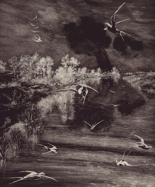 EIJFFINGER Geonature 366100 - Afbeelding 1 - Zwart / Grijs, Stoer, Industrieel, Grafisch, Vogels
