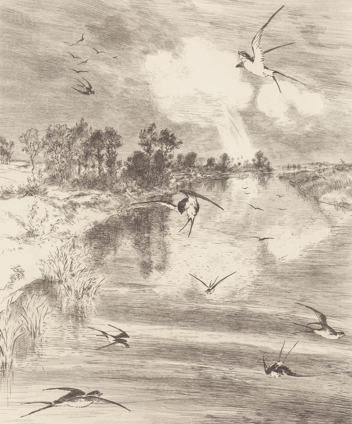 EIJFFINGER Geonature 366101 - Afbeelding 1 - Naturel, Zwart / Grijs, Scandinavisch, Grafisch, Vogels