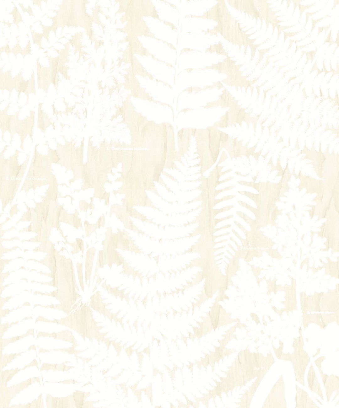 EIJFFINGER Geonature 366106 - Afbeelding 1 - Naturel, Wit, Romantisch, Grafisch, Bladeren