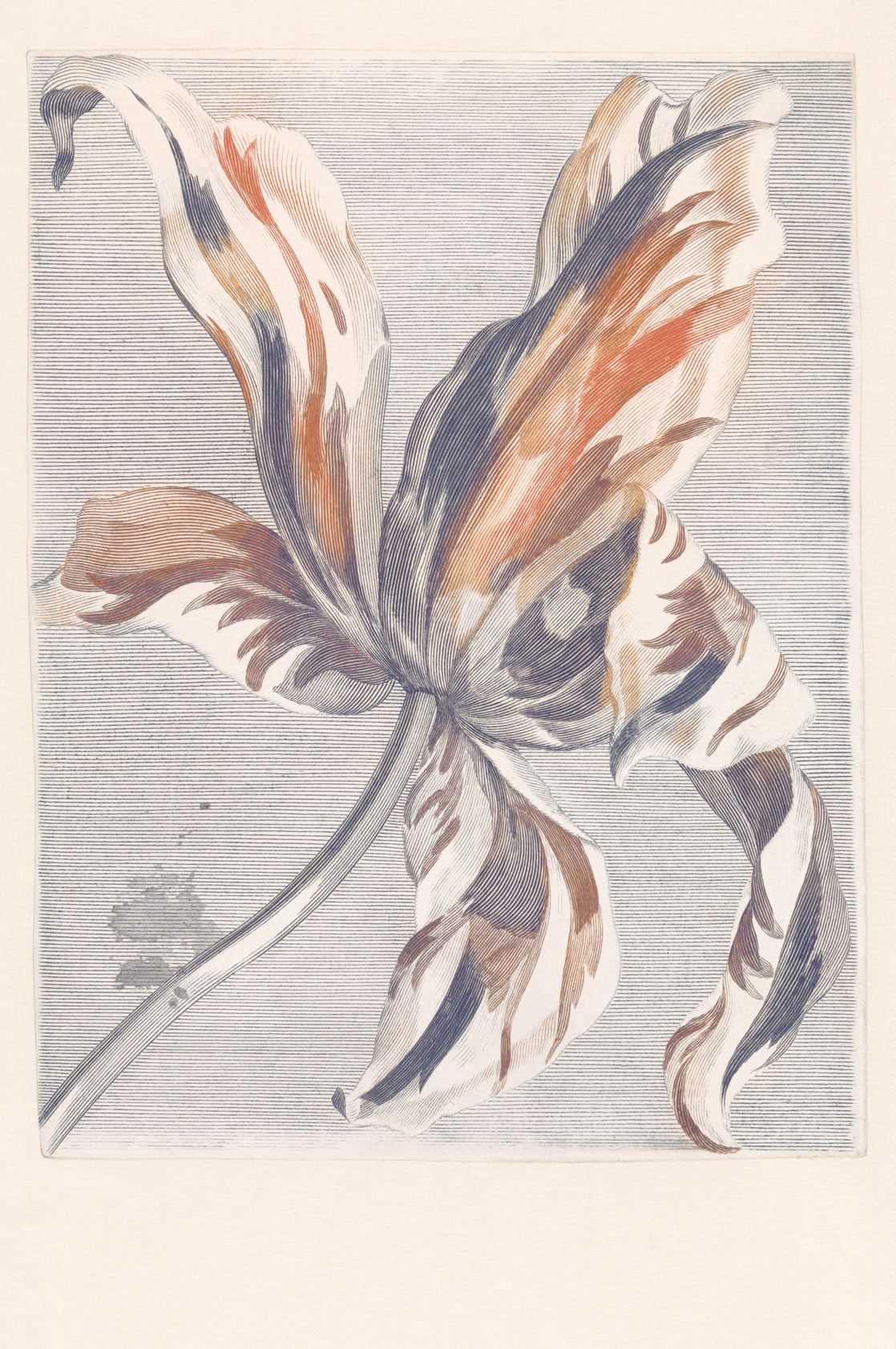 EIJFFINGER Masterpiece 358116 - Afbeelding 1 - Wit, Klassiek, Bloemen