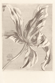 EIJFFINGER Masterpiece 358117 - Afbeelding 1 - Wit, Zwart / Grijs, Klassiek, Bloemen