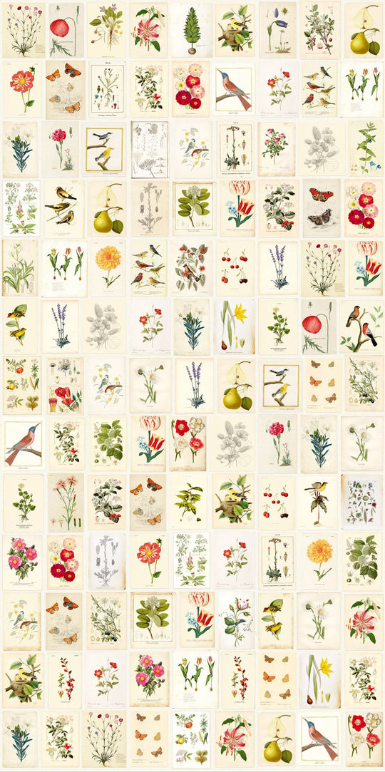 EIJFFINGER Pip Studio III 341086 - Afbeelding 1 - Multi, Landelijk, Pip Studio