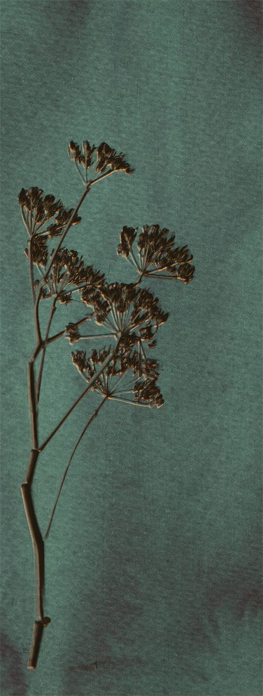 EIJFFINGER Lino 379104 - Afbeelding 1 - Groen, Landelijk, Stoer, Industrieel