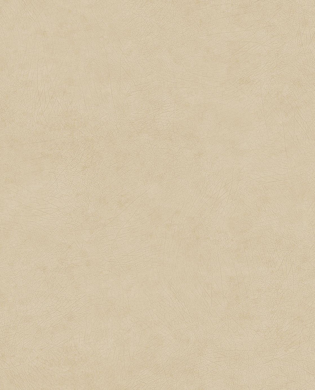 EIJFFINGER Reunited 372520 - Afbeelding 1 - Naturel, Basic, Effen, Uni