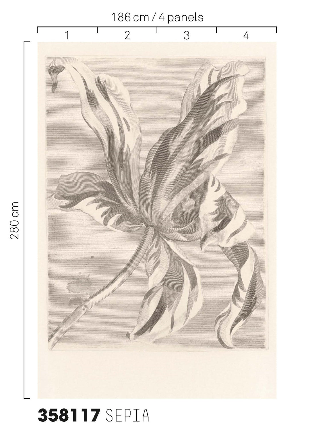 EIJFFINGER Masterpiece 358117 - Afbeelding 3 - Wit, Zwart / Grijs, Klassiek, Bloemen