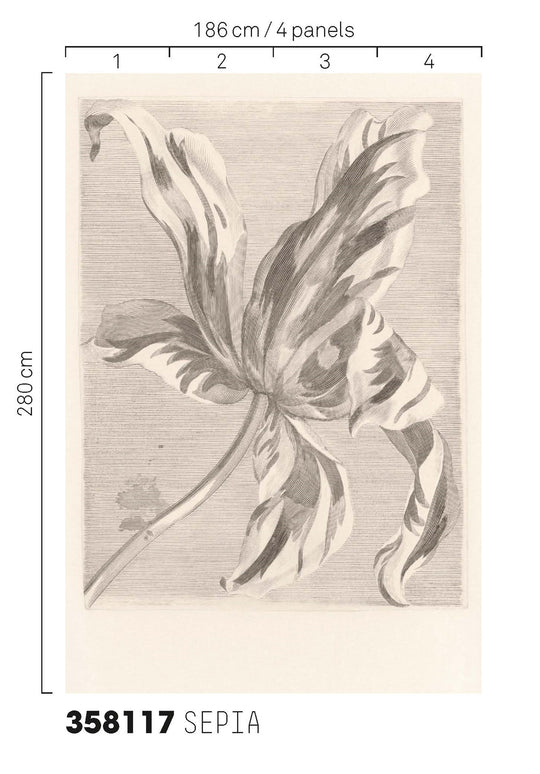 EIJFFINGER Masterpiece 358117 - Afbeelding 3 - Wit, Zwart / Grijs, Klassiek, Bloemen