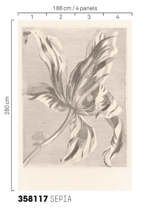 EIJFFINGER Masterpiece 358117 - Afbeelding 3 - Wit, Zwart / Grijs, Klassiek, Bloemen