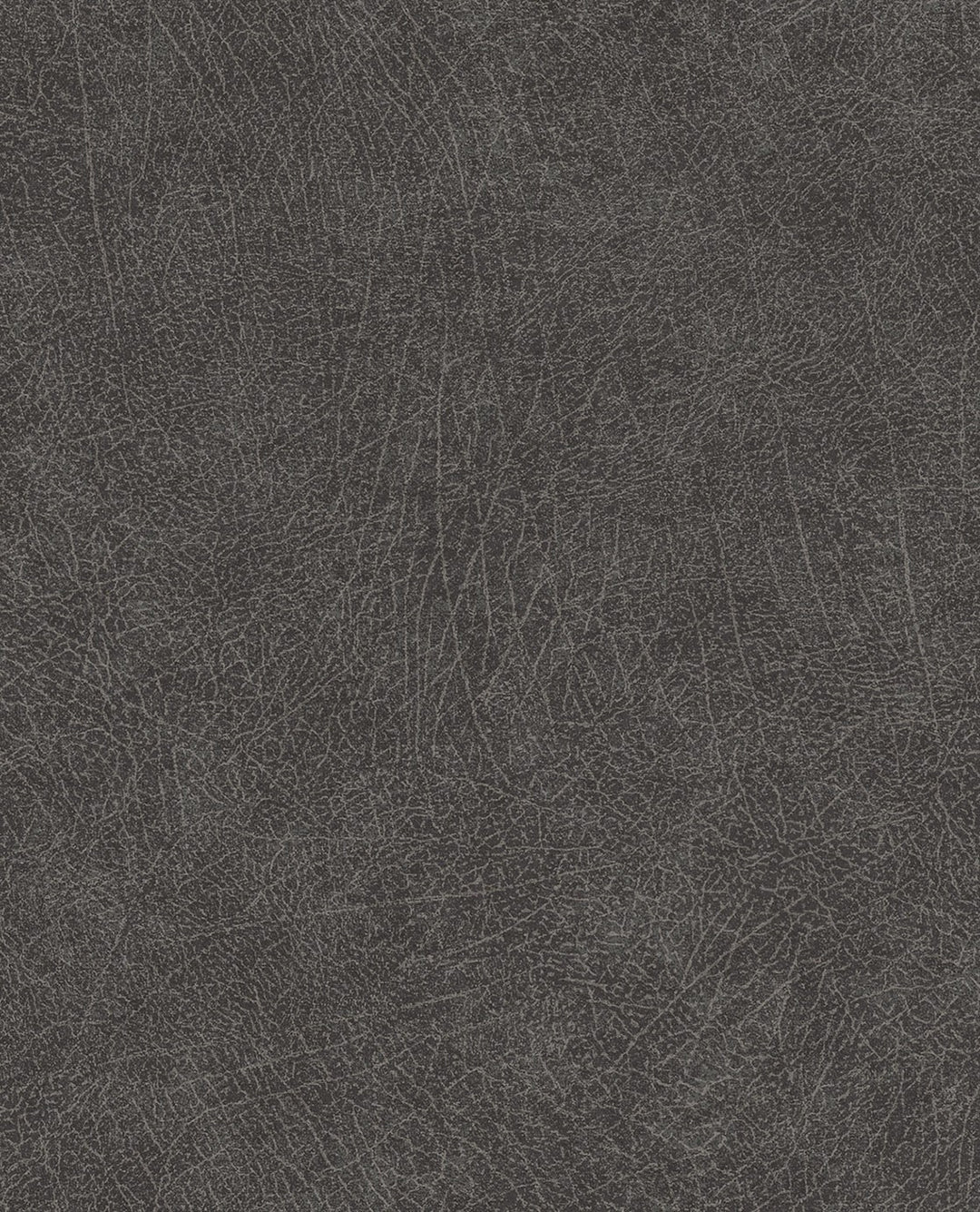 EIJFFINGER Skin 300516 - Afbeelding 1 - Zwart / Grijs, Etnisch, Basic, Stoer, Industrieel, Dieren, Effen, Uni, Structuren