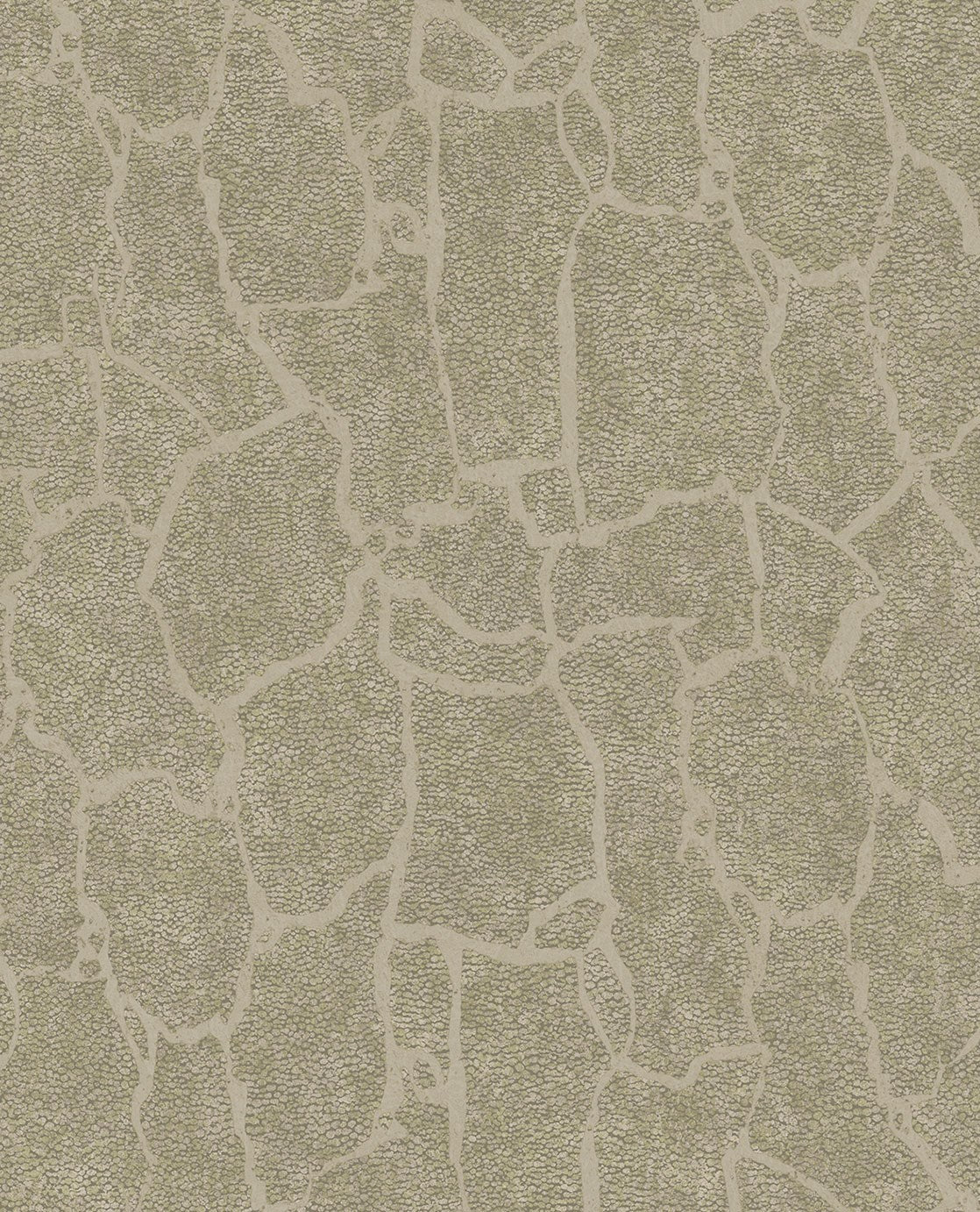 EIJFFINGER Skin 300532 - Afbeelding 1 - Groen, Zwart / Grijs, Etnisch, Basic, Stoer, Industrieel, Dieren, Effen, Uni, Structuren