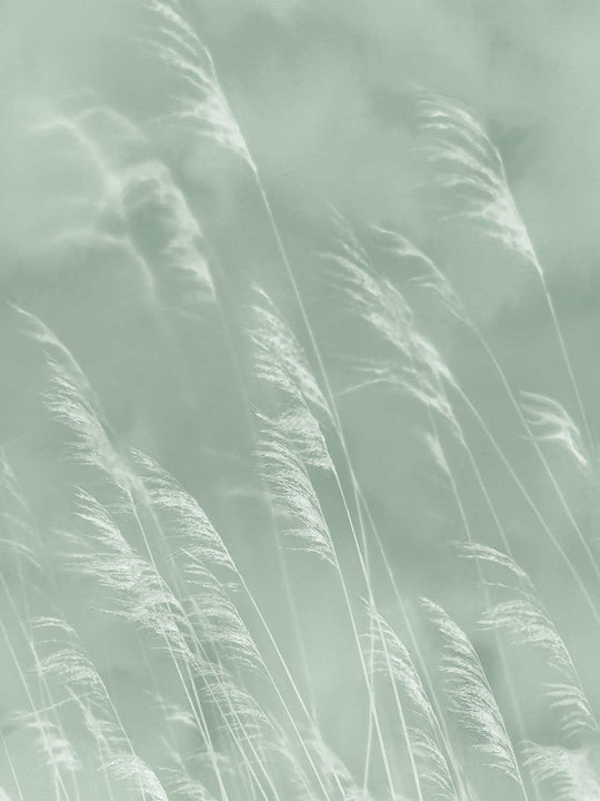 EIJFFINGER Waterfront 300901 - Afbeelding 1 - Naturel, Groen, Scandinavisch, Landelijk, Romantisch, Natuurlijk, Bladeren