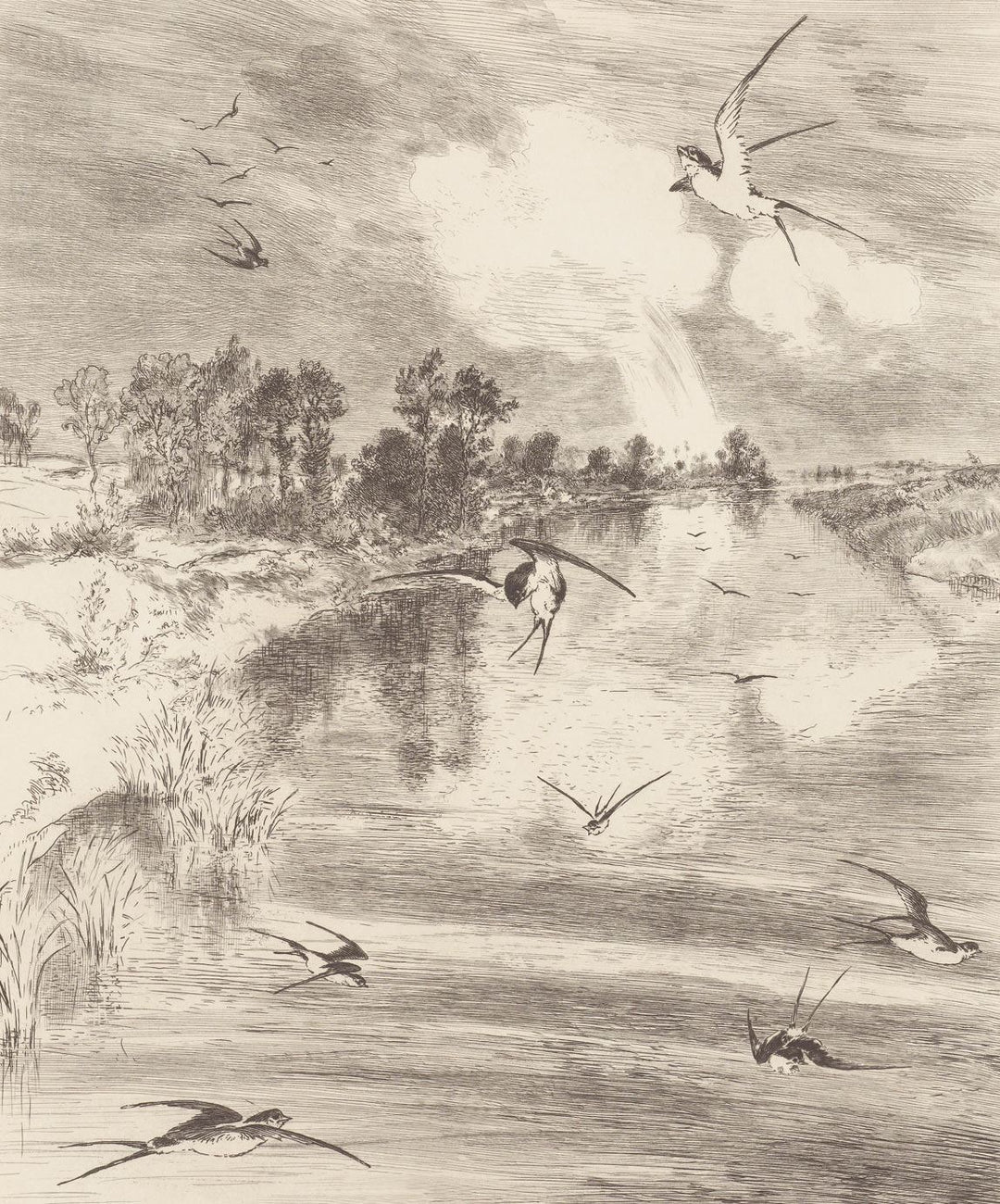 EIJFFINGER Wallpower Favourites 309016 - Afbeelding 1 - Naturel, Zwart / Grijs, Scandinavisch, Grafisch, Vogels