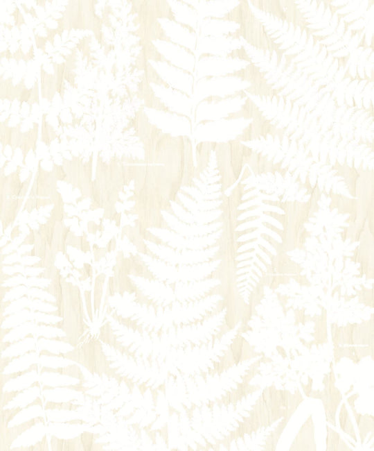 EIJFFINGER Wallpower Favourites 309019 - Afbeelding 1 - Naturel, Wit, Romantisch, Grafisch, Bladeren