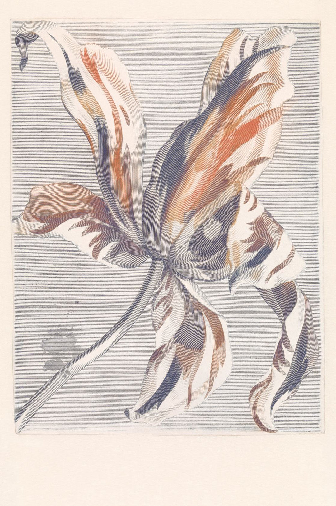 EIJFFINGER Wallpower Favourites 309031 - Afbeelding 1 - Wit, Klassiek, Bloemen