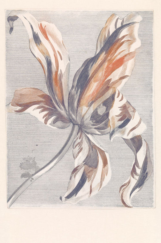EIJFFINGER Wallpower Favourites 309031 - Afbeelding 1 - Wit, Klassiek, Bloemen