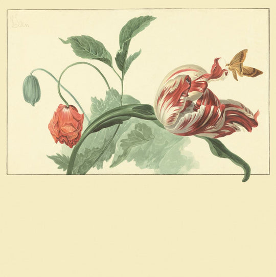 EIJFFINGER Wallpower Favourites 309033 - Afbeelding 1 - Wit, Multi, Klassiek, Bloemen