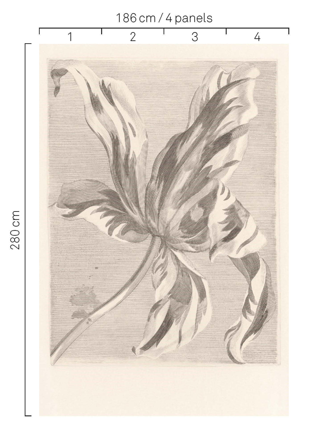 EIJFFINGER Wallpower Favourites 309032 - Afbeelding 3 - Wit, Zwart / Grijs, Klassiek, Bloemen