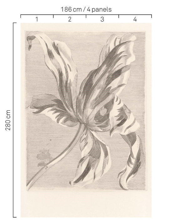 EIJFFINGER Wallpower Favourites 309032 - Afbeelding 3 - Wit, Zwart / Grijs, Klassiek, Bloemen