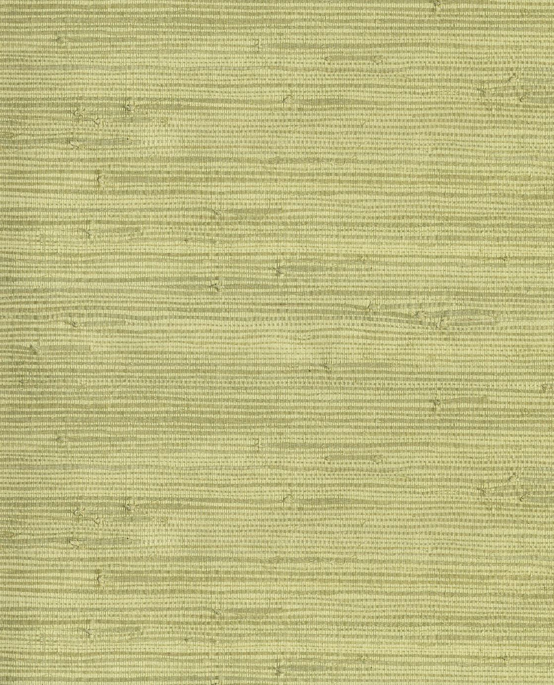 EIJFFINGER Natural Wallcovering III 303502 - Afbeelding 1 - Naturel, Groen, Landelijk, Etnisch, Natuurlijk, Structuren