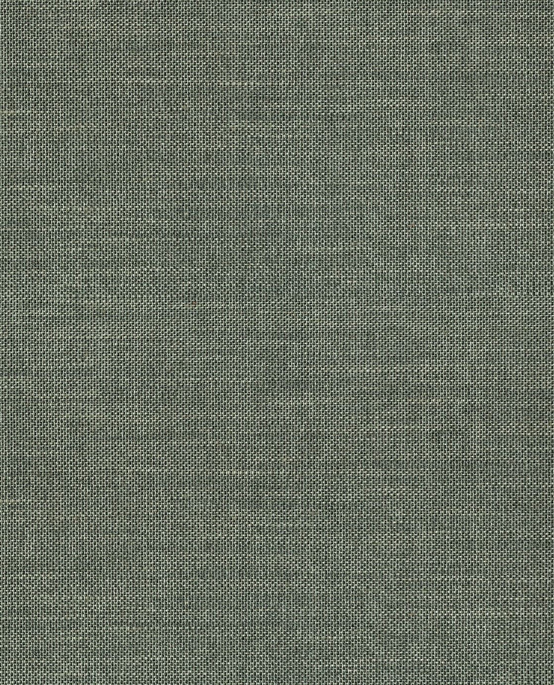 EIJFFINGER Natural Wallcovering III 303520 - Afbeelding 1 - Naturel, Blauw, Groen, Landelijk, Etnisch, Natuurlijk, Structuren