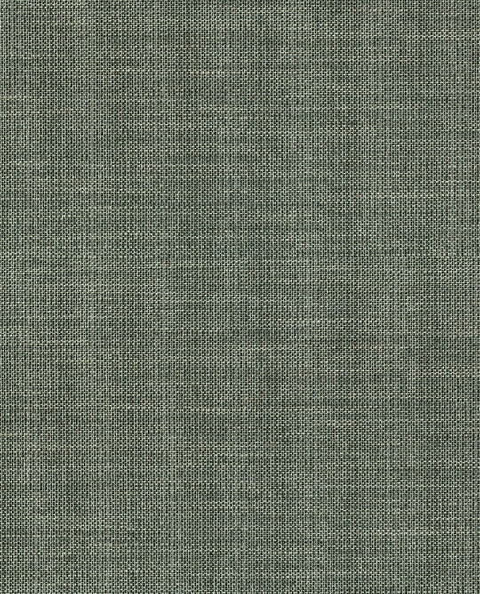 EIJFFINGER Natural Wallcovering III 303520 - Afbeelding 1 - Naturel, Blauw, Groen, Landelijk, Etnisch, Natuurlijk, Structuren