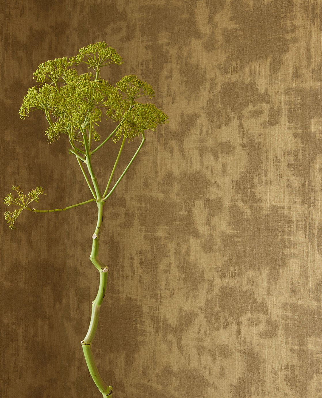 EIJFFINGER Canvas 313525 - Afbeelding 4 - Groen, Goud, Basic, Klassiek, Structuren