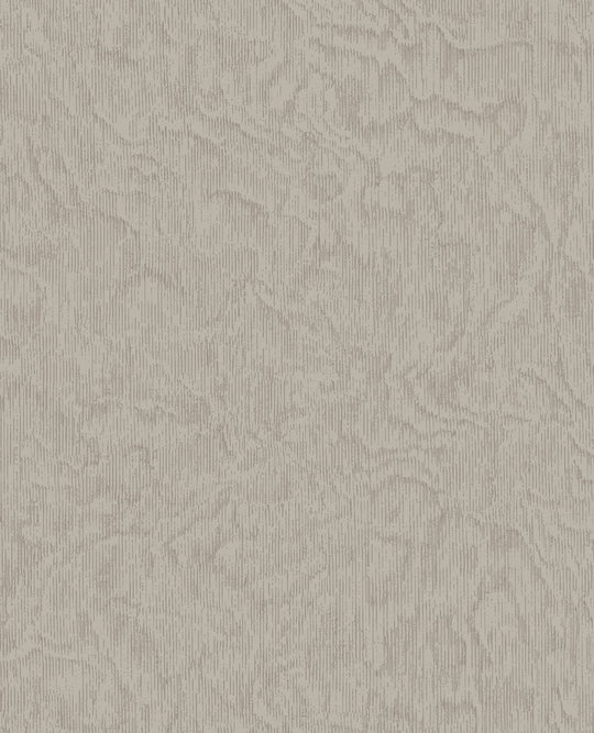 EIJFFINGER Embrace 324051 - Afbeelding 1 - Zwart / Grijs, Basic, Structuren