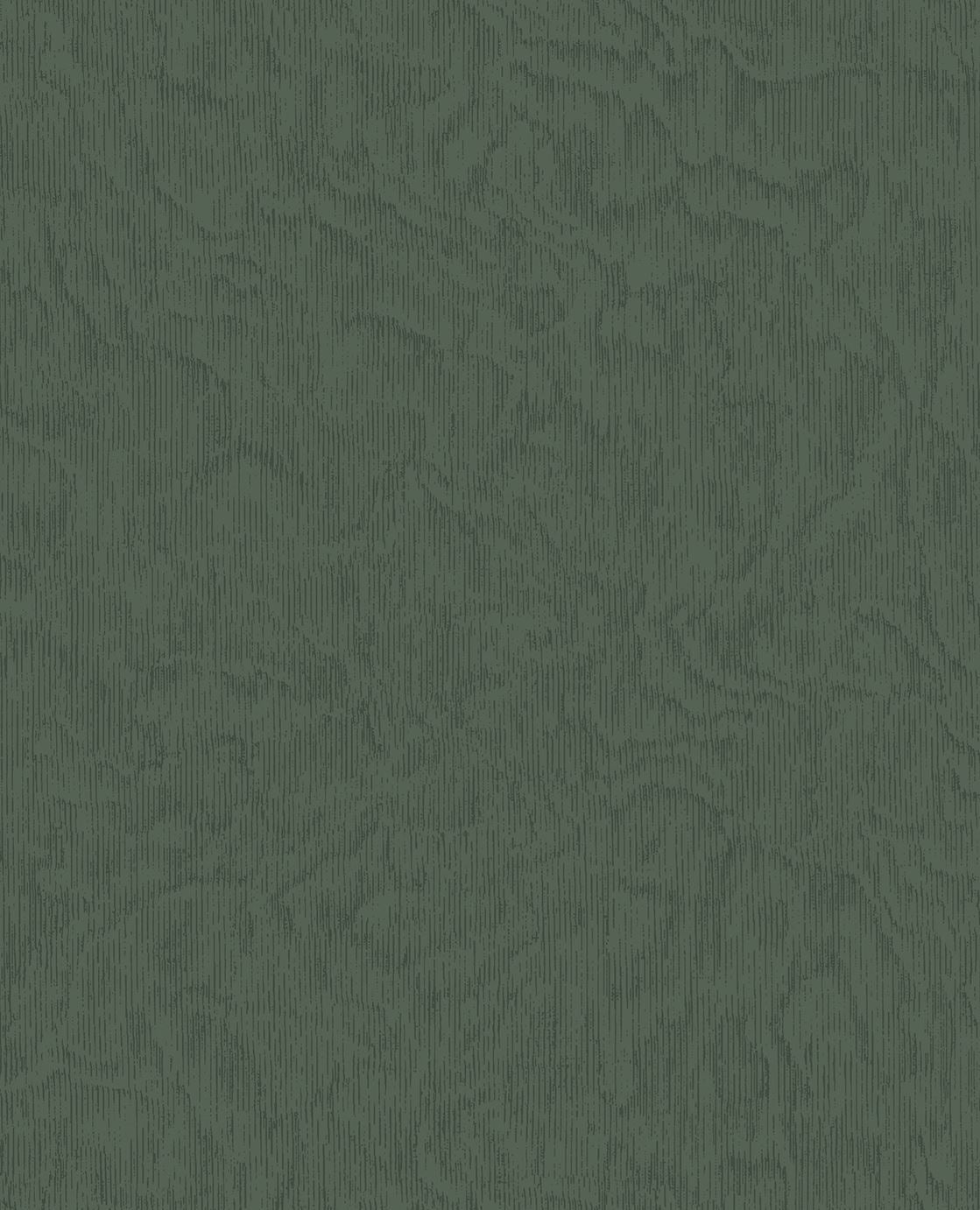EIJFFINGER Embrace 324055 - Afbeelding 1 - Groen, Basic, Structuren