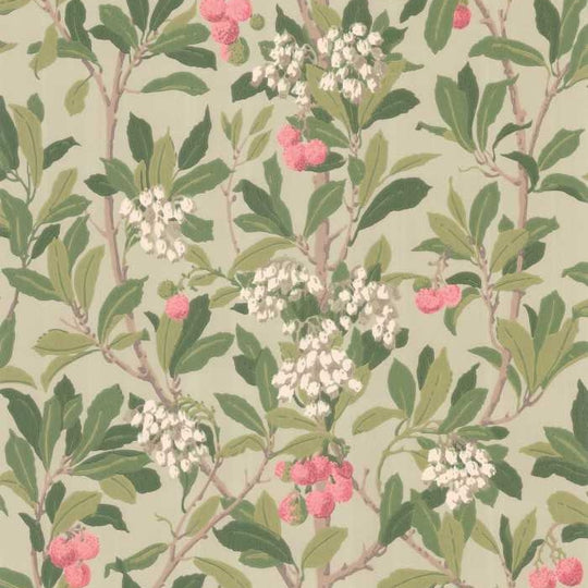 Cole &amp; Son Archive Anthology Strawberry Tree behang 100/10048