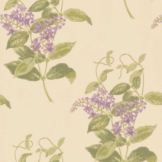 Cole &amp; Son Archive Anthology Madras Violet behang 100/12056