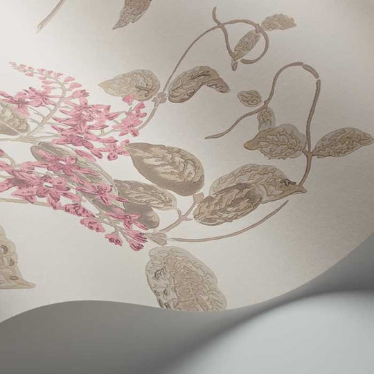 Cole &amp; Son Archive Anthology Madras Violet behang 100/12058