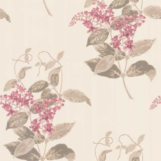Cole &amp; Son Archive Anthology Madras Violet behang 100/12058