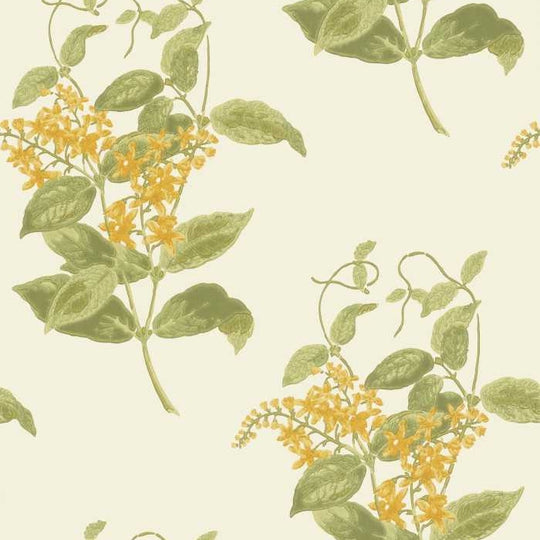 Cole &amp; Son Archive Anthology Madras Violet behang 100/12059