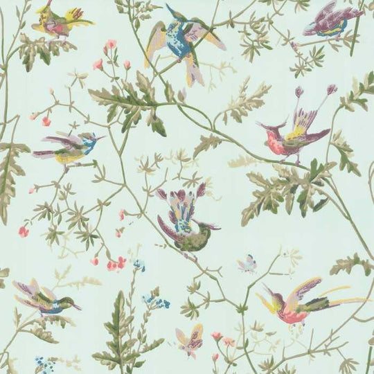 Cole &amp; Son Selection of Hummingbirds Hummingbirds behang 100/14069