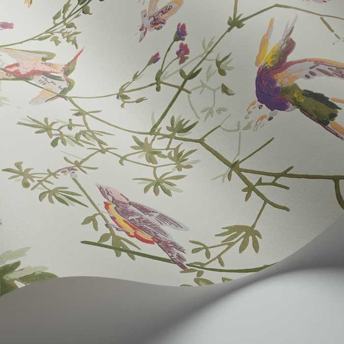 Cole &amp; Son Selection of Hummingbirds Hummingbirds behang 100/14070