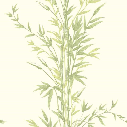 Cole &amp; Son Archive Anthology Bamboo behang 100/5023