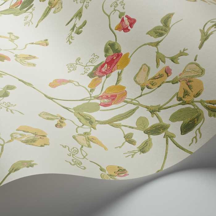 Cole &amp; Son Botanical ~Botanica~ Sweet Pea behang 100/6027
