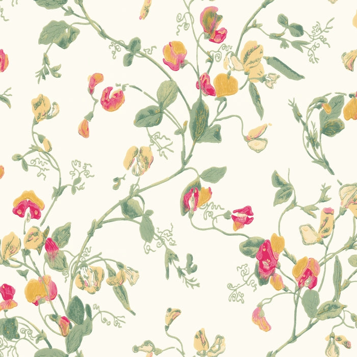 Cole &amp; Son Botanical ~Botanica~ Sweet Pea behang 100/6027