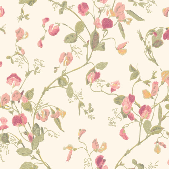 Cole &amp; Son Botanical ~Botanica~ Sweet Pea behang 100/6028